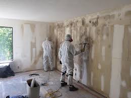 Best Mold Prevention Services  in Romancoke, MD